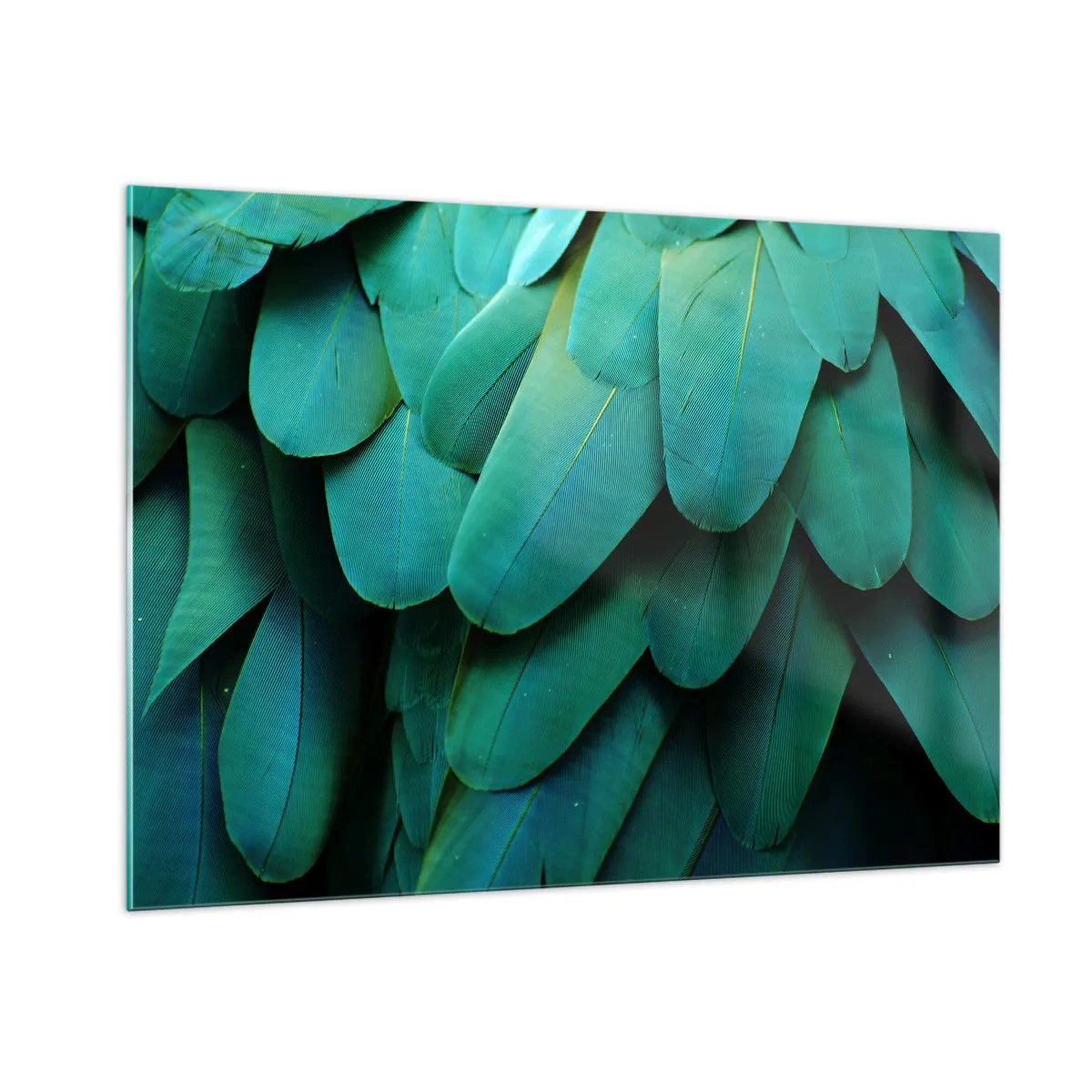 Impression sur verre - Image sur verre - Gros plan des plumes intensément vertes d'un perroquet. - 100x70cm - Perfection de la nature du perroquet - Décoration murale moderne pour le salon et la chambre ARTTOR
