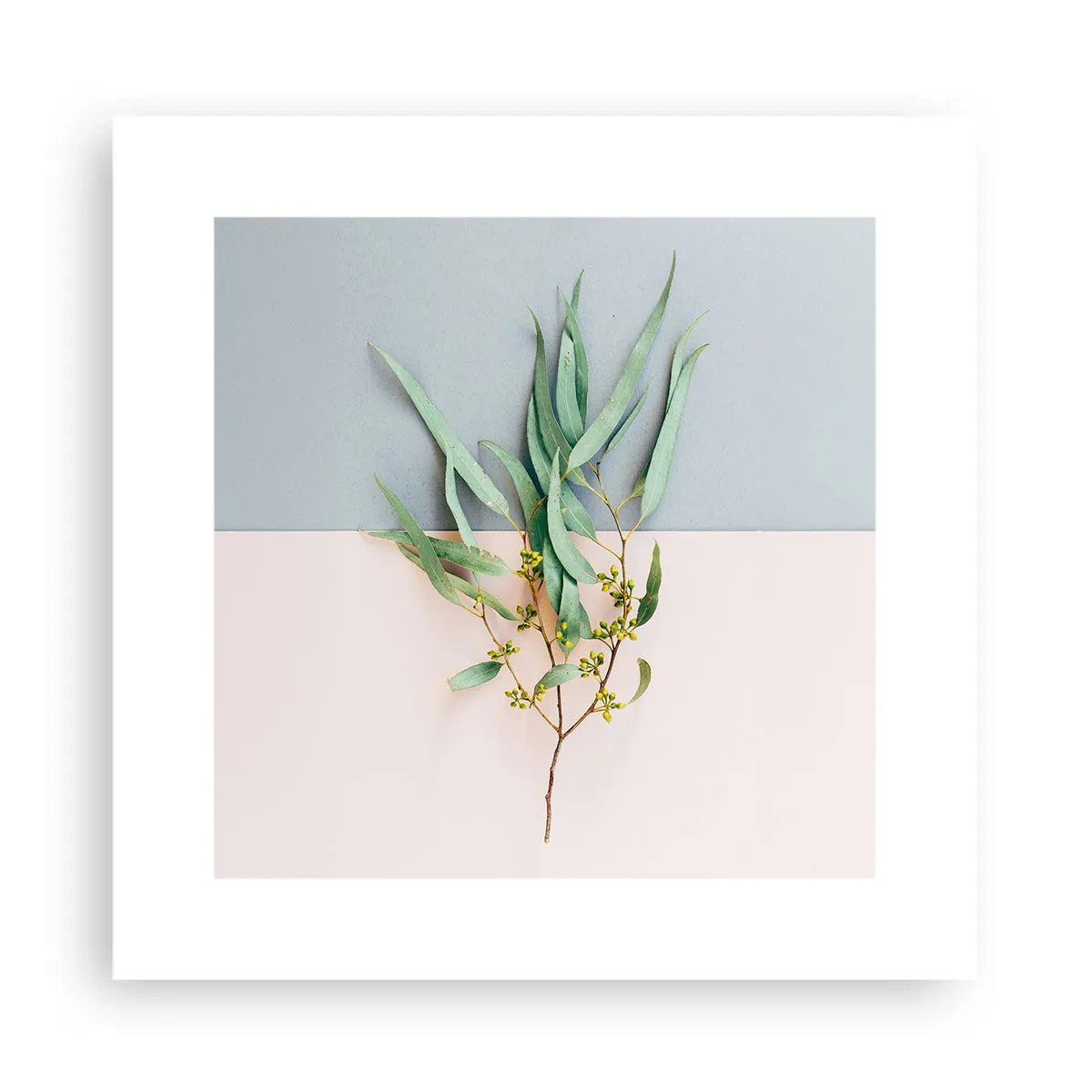 Affiche - Poster - Subtilité pastel - 30x30 cm