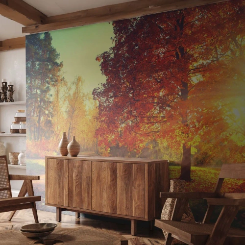 Papier Peint Autocollant Deluxe Sticker - Le roux est beau - Paysage, Parc, Nature - 250x175 cm