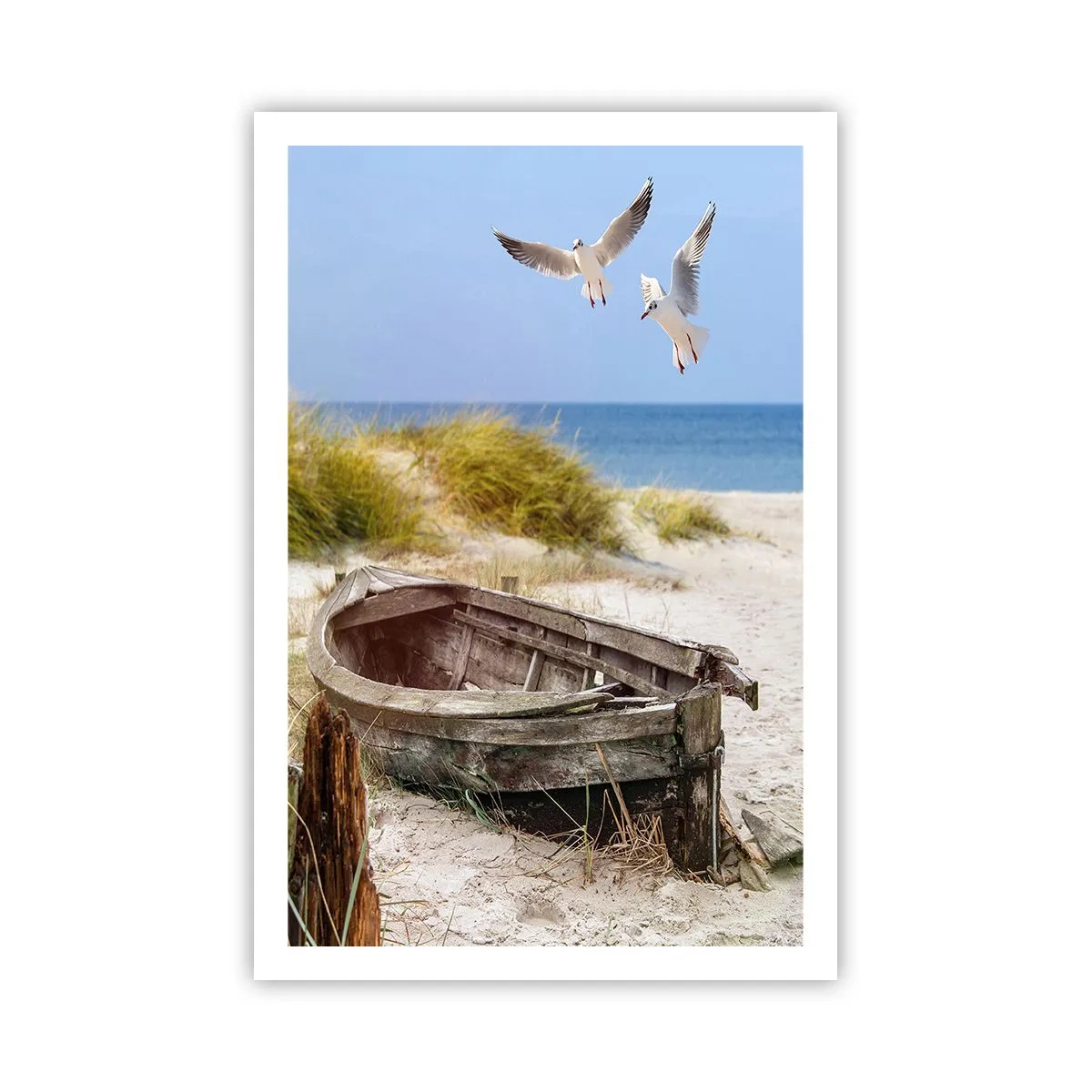 Affiche - Poster - Bain de vent - 61x91 cm