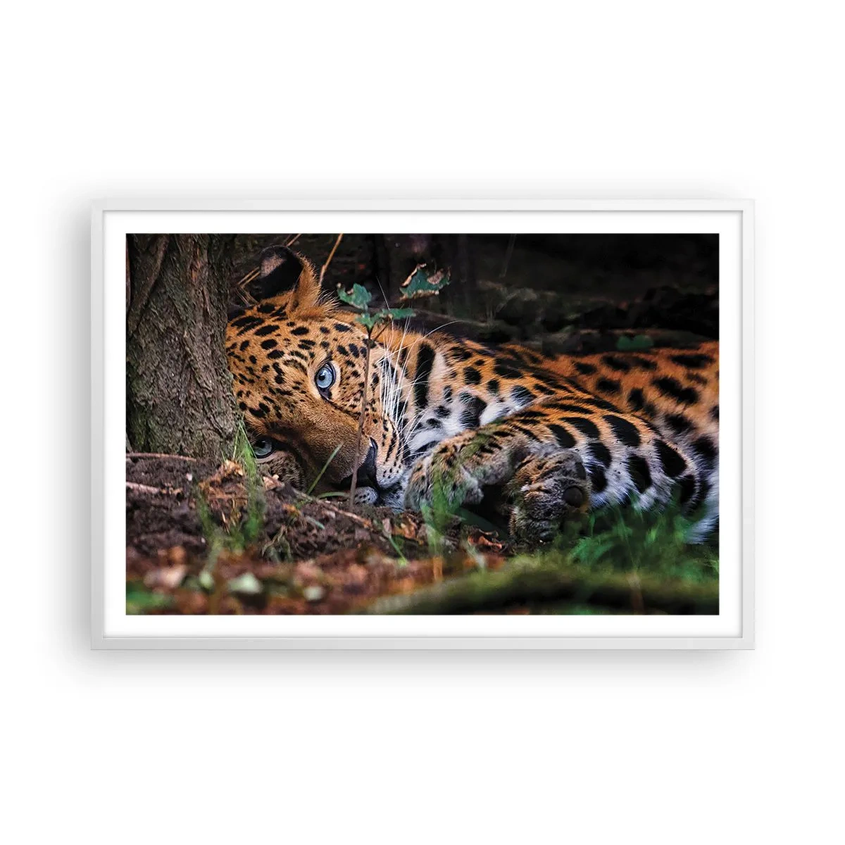 Affiche dans un cadre blanc - Poster - Fais-moi confiance - 91x61 cm