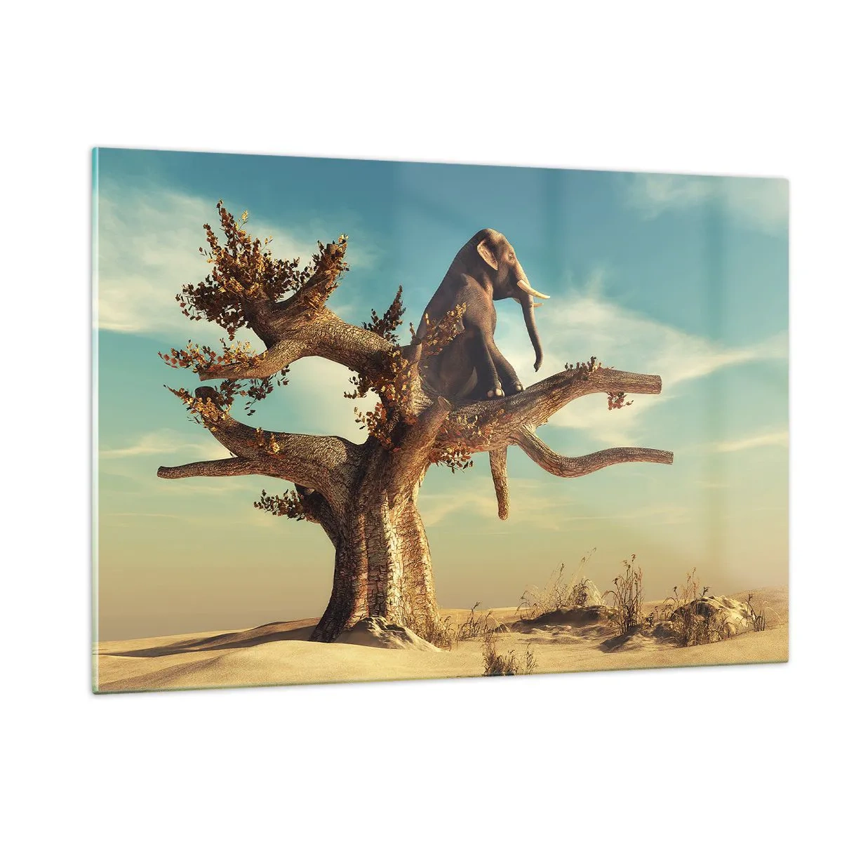 Impression sur verre - Image sur verre - Un éléphant assis sur un arbre sur fond de désert - 120x80cm - Nouveau point de vue - Décoration murale moderne pour le salon et la chambre ARTTOR