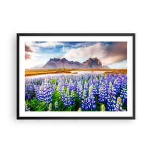 Affiche dans un cadre noir - Poster - Fleurs dans un paysage de montagne avec un ciel pittoresque - 70x50cm - La force et l'austérité côtoient la douceur - Décoration murale moderne pour le salon et la chambre ARTTOR