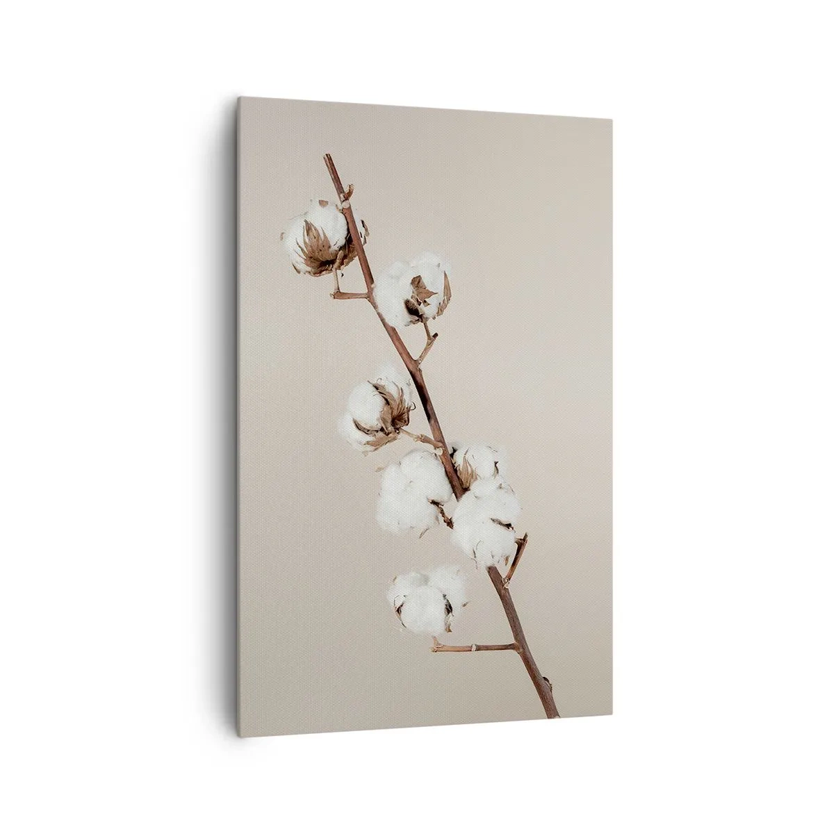Impression sur toile - Image sur toile - Un brin de coton sur fond beige - 80x120cm - A la source de la douceur - Décoration murale moderne pour le salon et la chambre ARTTOR