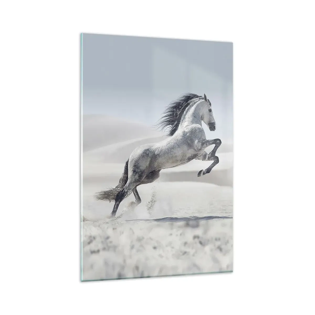 Impression sur verre - Image sur verre - Un cheval blanc galopant sur fond de dunes du désert - 80x120cm - Prince arabe - Décoration murale moderne pour le salon et la chambre ARTTOR