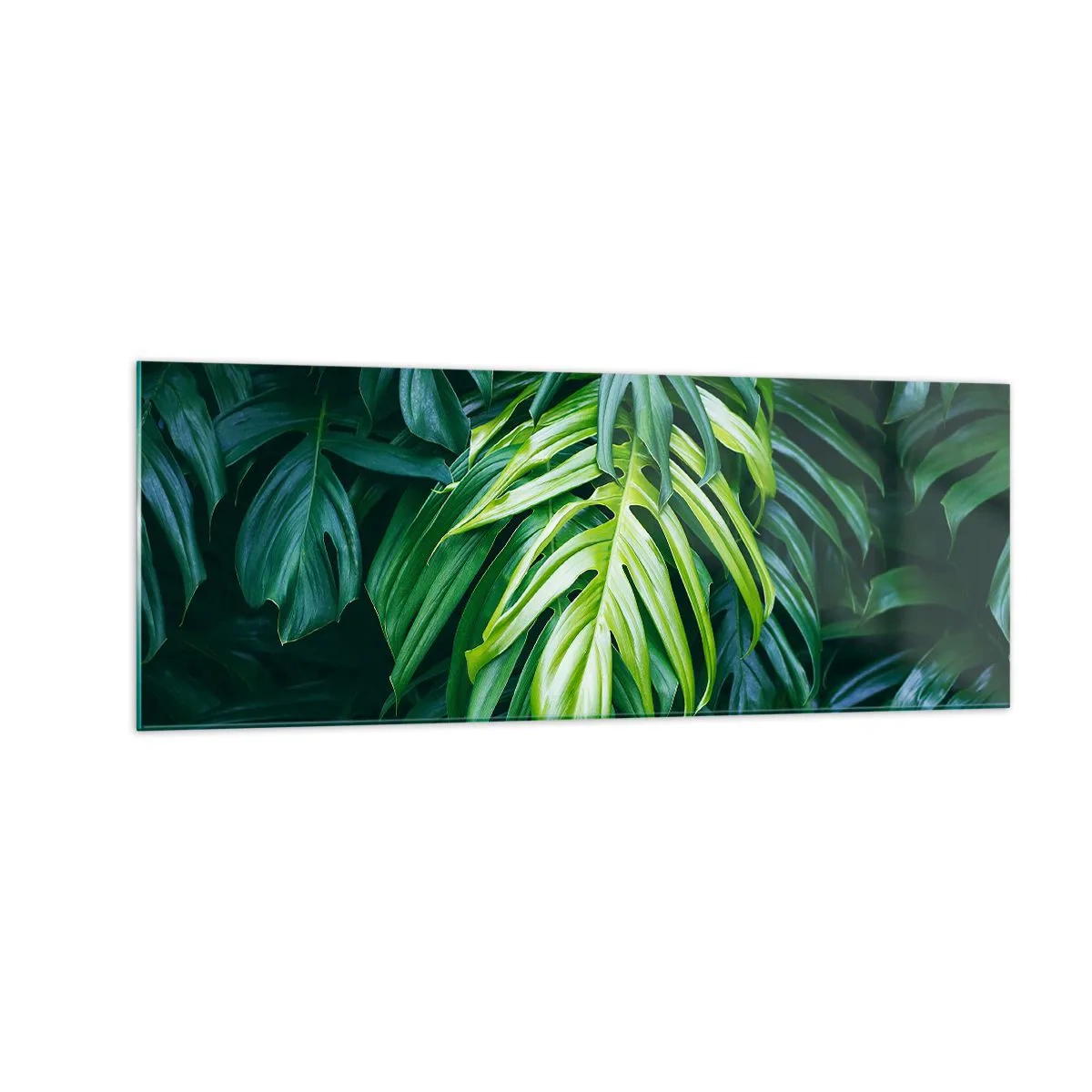 Impression sur verre - Image sur verre - Feuilles vertes dans un arrangement tropical dense - 140x50cm - Immergez-vous dans la fraîcheur - Décoration murale moderne pour le salon et la chambre ARTTOR
