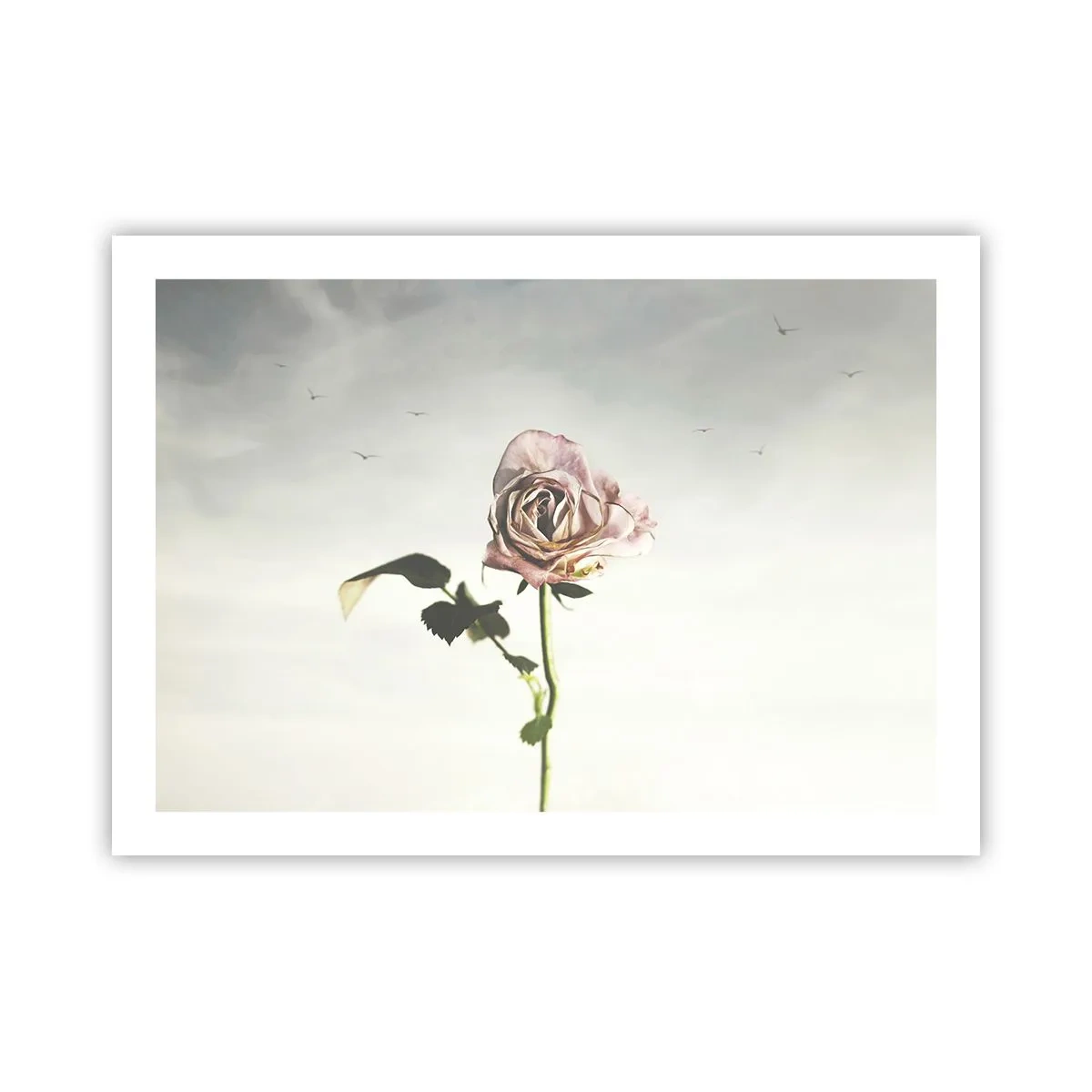 Affiche - Poster - Bonjour de printemps - 70x50 cm