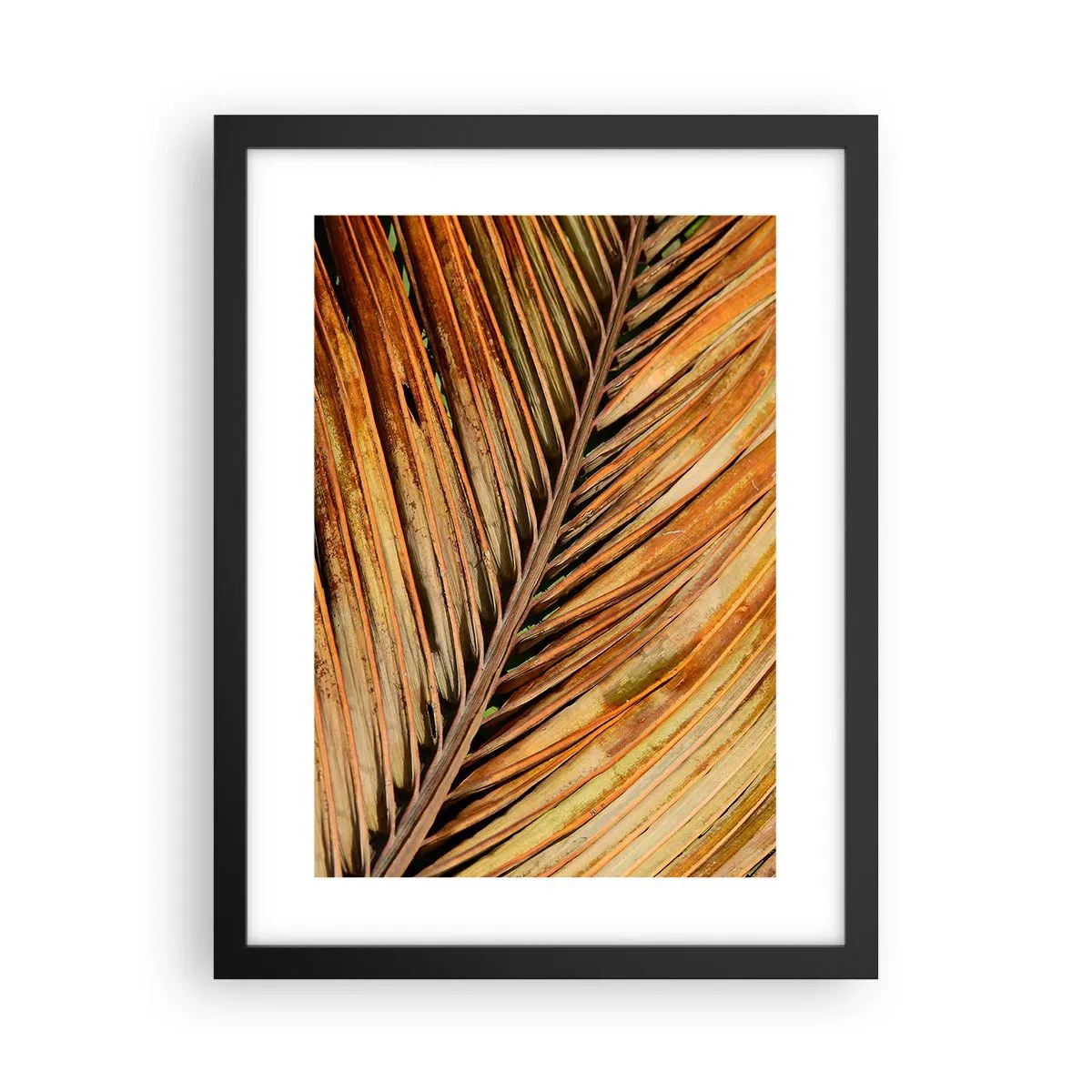 Affiche dans un cadre noir - Poster - Or de noix de coco - 30x40 cm