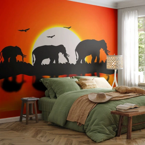 Papier Peint Autocollant Deluxe Sticker - Et le soir pour un petit verre - Animaux, Afrique, Éléphant - 500x350 cm