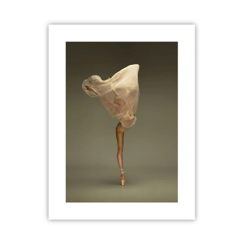 Affiche - Poster - Il va bientôt s'envoler - 30x40 cm