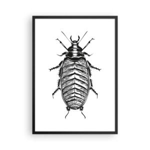 Affiche dans un cadre noir - Poster - Illustration en noir et blanc d'un insecte dans un style de vente au détail - 50x70cm - Quel spécimen! - Décoration murale moderne pour le salon et la chambre ARTTOR