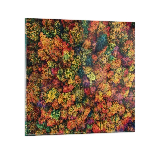Impression sur verre - Image sur verre - Bouquet d'arbres automnal - 50x50 cm