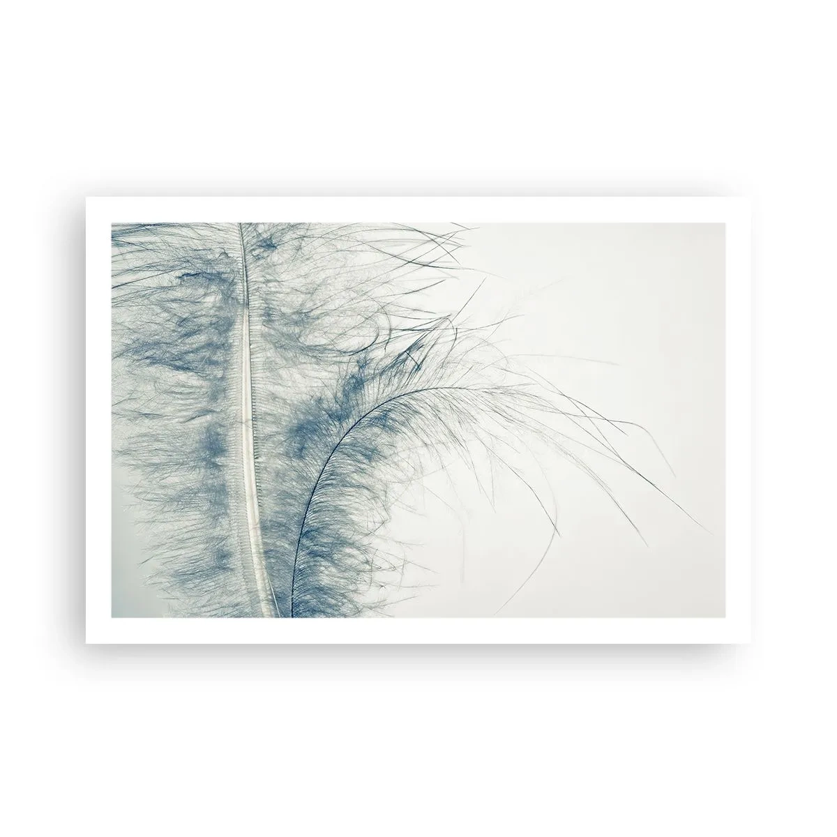 Affiche - Poster - Les sept natures - 91x61 cm