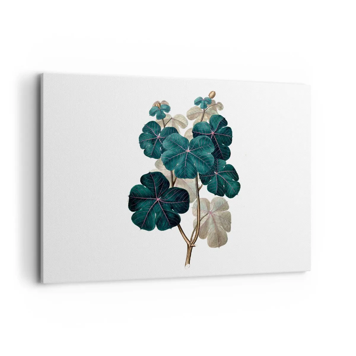 Impression sur toile - Image sur toile - Illustration botanique avec des feuilles dans les tons de vert et de beige - 100x70cm - De l'ancien herbier - Décoration murale moderne pour le salon et la chambre ARTTOR