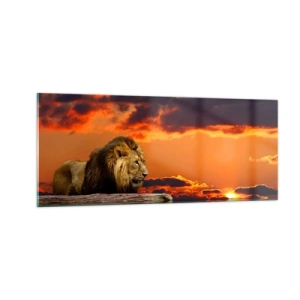 Impression sur verre - Image sur verre - Le roi de la nature - 100x40 cm