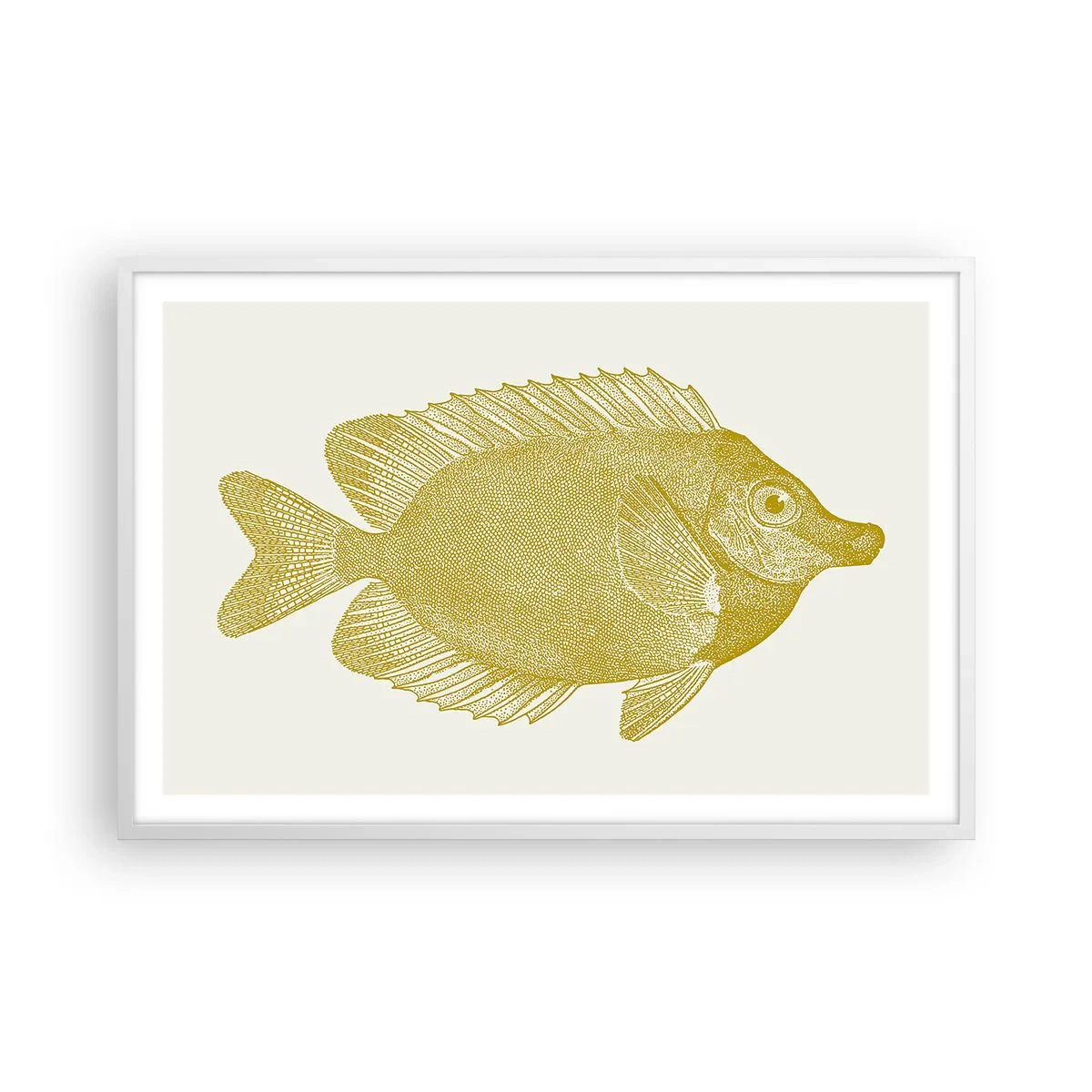 Affiche dans un cadre blanc - Poster - Du poisson et c'est tout - 91x61 cm