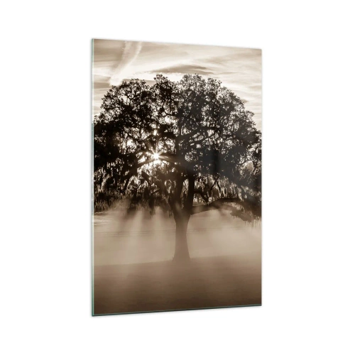 Impression sur verre - Image sur verre - Des rayons de soleil brillent à travers un arbre solitaire - 70x100cm - Arbre de bonnes nouvelles - Décoration murale moderne pour le salon et la chambre ARTTOR