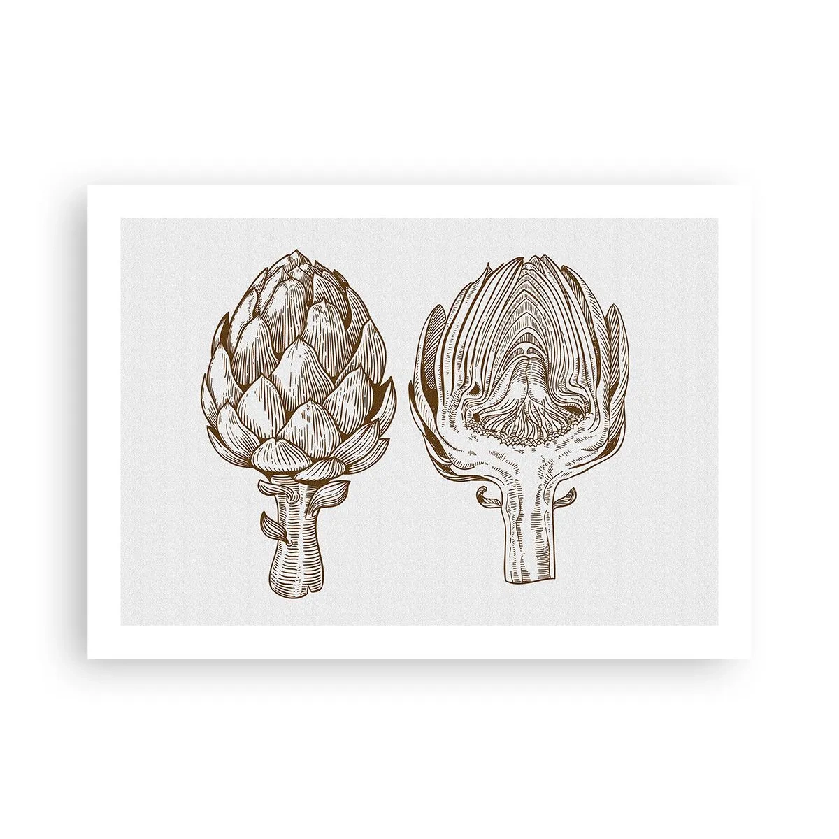 Affiche - Poster - Leçon d’anatomie - 70x50 cm