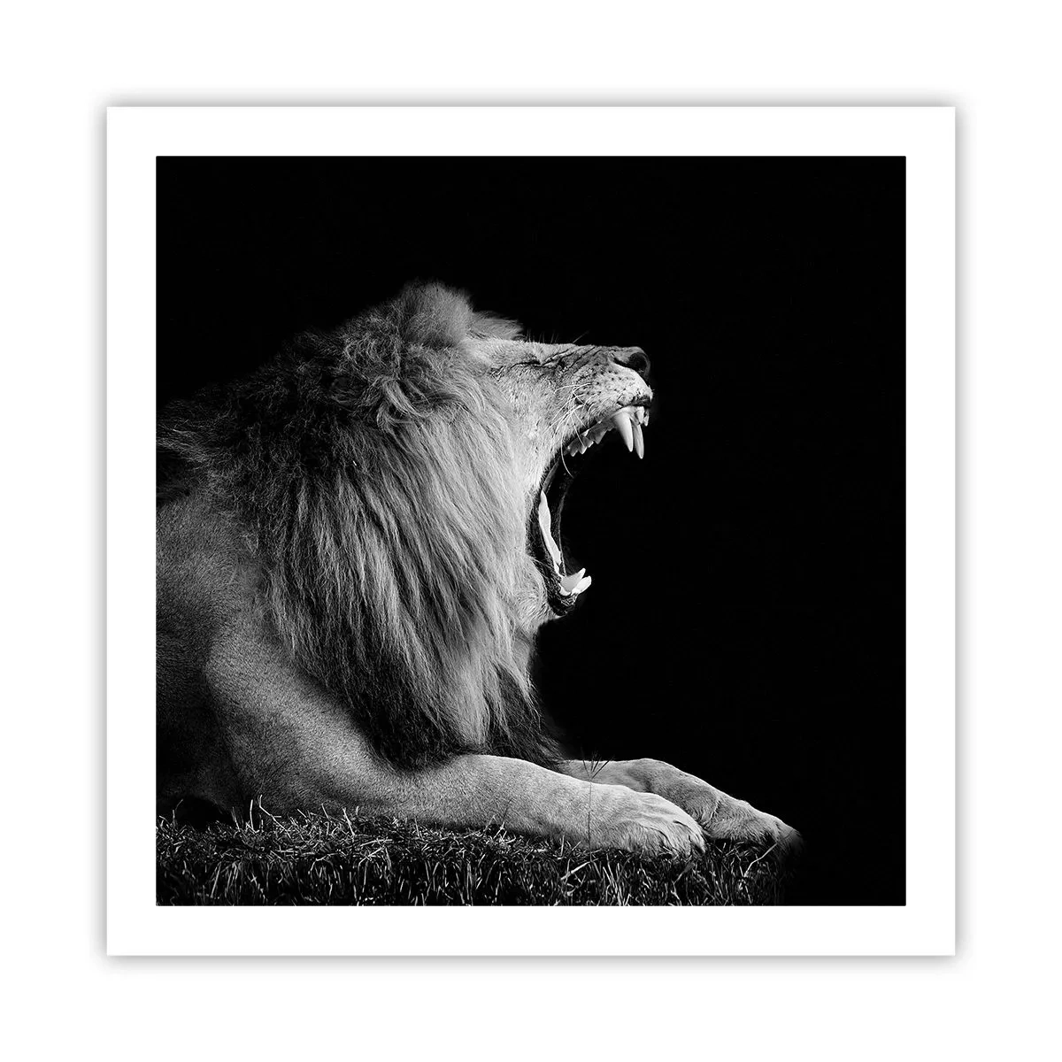 Affiche - Poster - Sans aucun doute - 60x60 cm