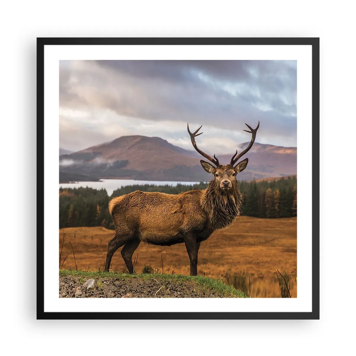 Affiche dans un cadre noir - Poster - Majesté de la nature - 60x60 cm