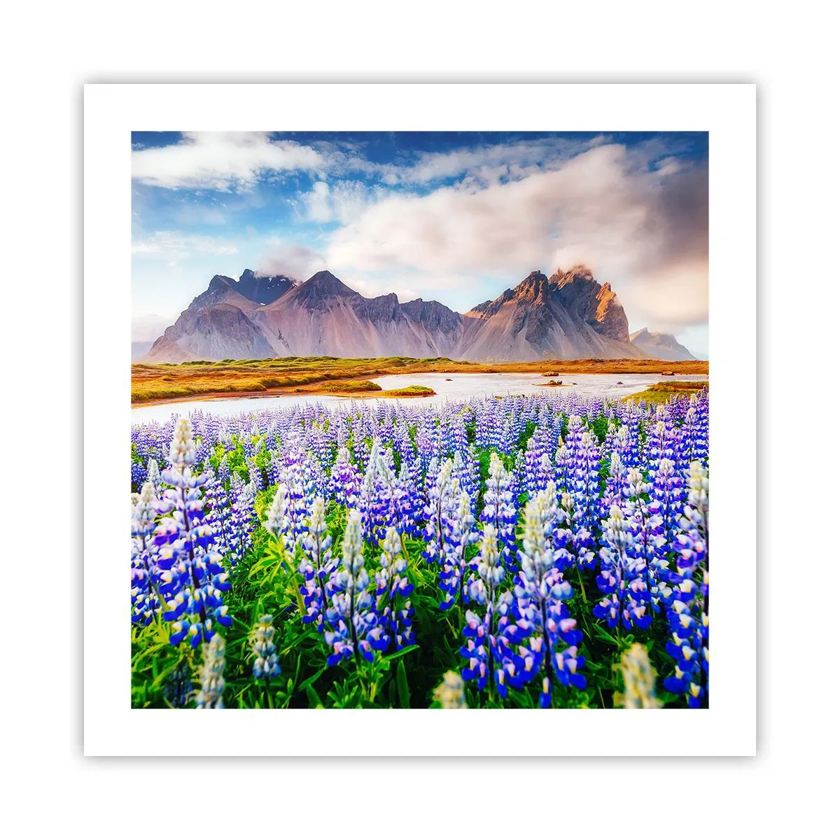 Affiche - Poster - La force et l'austérité côtoient la douceur - 50x50 cm