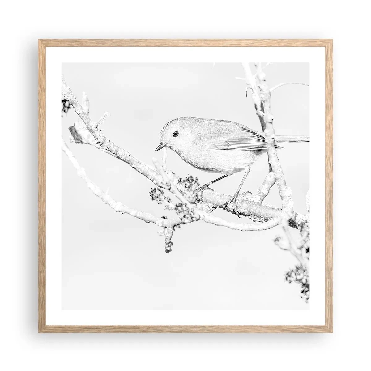 Affiche dans un chêne clair - Poster - Matin d'hiver - 60x60 cm