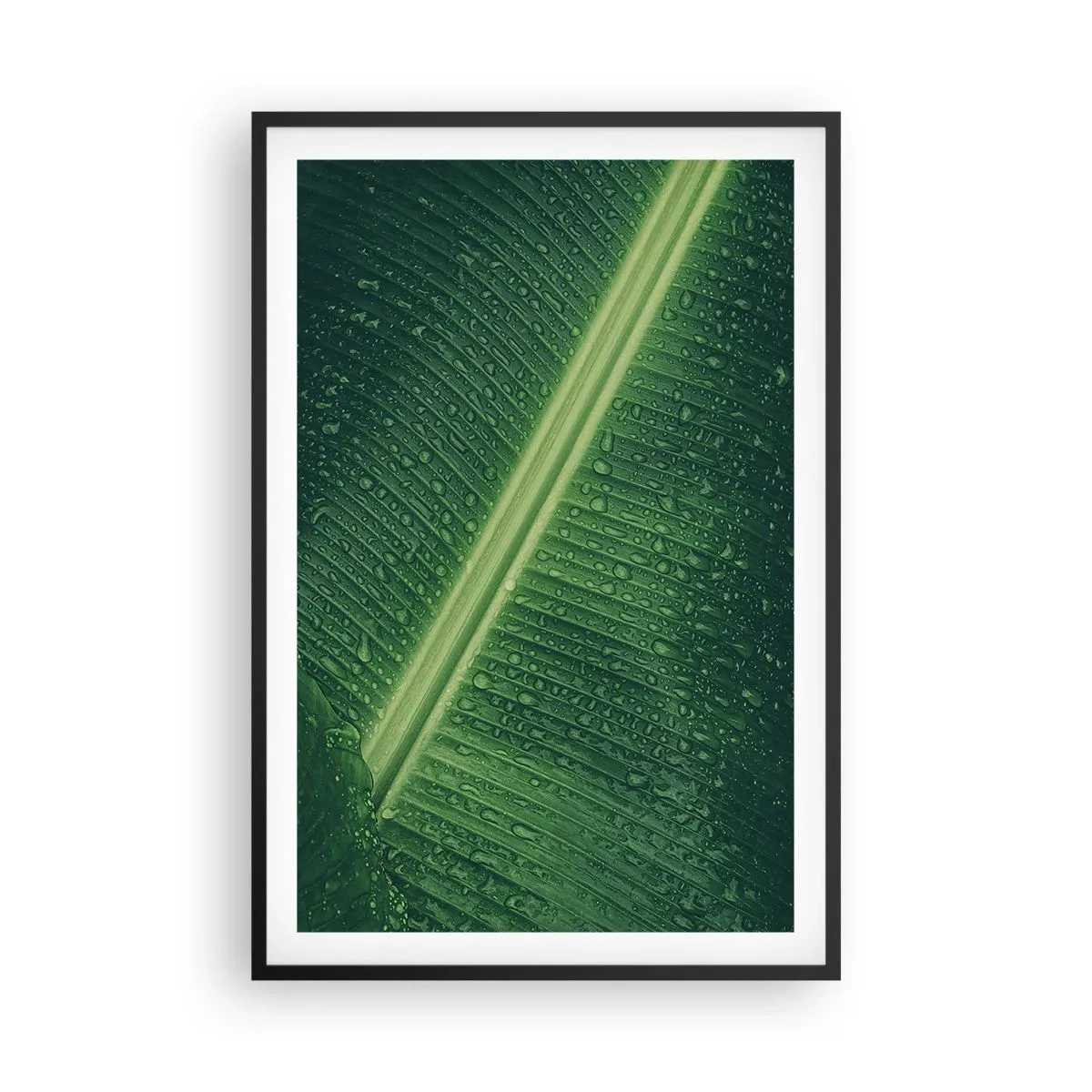 Affiche dans un cadre noir - Poster - Structure de vert - 61x91 cm