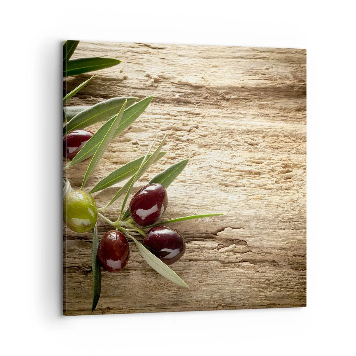 Impression sur toile - Image sur toile - Directement de la nature - 50x50 cm