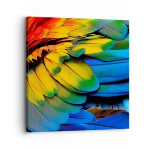 Impression sur toile - Image sur toile - Oiseau de paradis - 30x30 cm