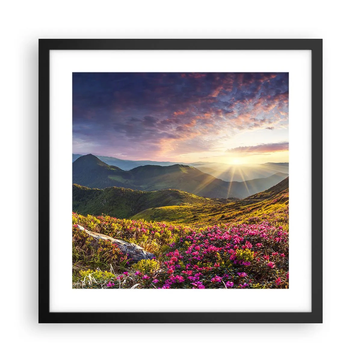 Affiche dans un cadre noir - Poster - Fraîcheur matinale en montagne - 40x40 cm