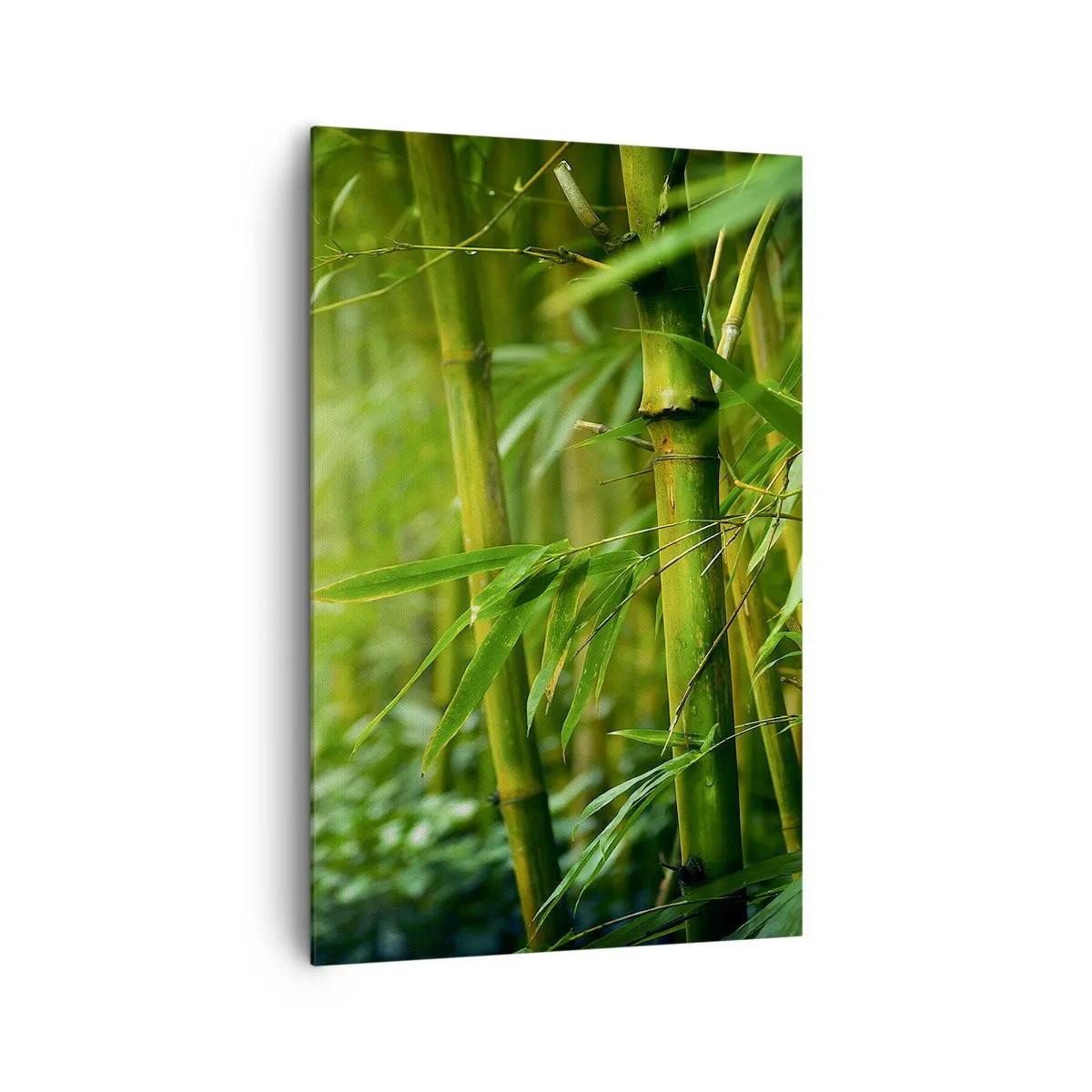 Impression sur toile - Image sur toile - Forêt de bambous verts dans une lumière douce - 80x120cm - Apprenez à connaître le vert lui-même - Décoration murale moderne pour le salon et la chambre ARTTOR