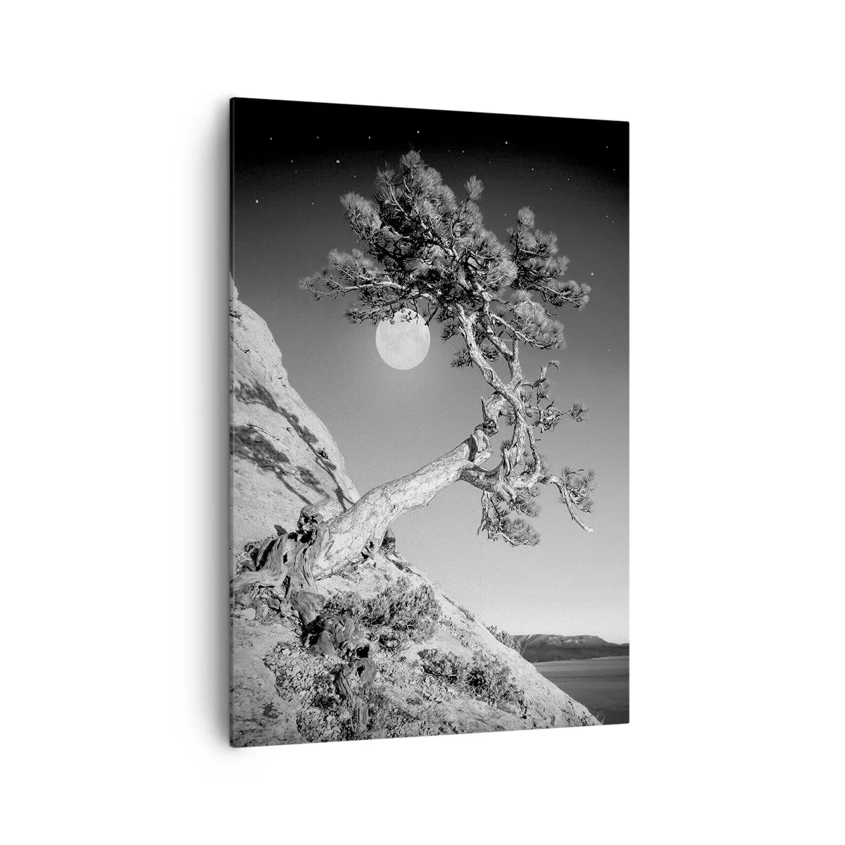 Impression sur toile - Image sur toile - Arbre noir et blanc sur une falaise avec la lune en arrière-plan - 70x100cm - Un combattant vainqueur - Décoration murale moderne pour le salon et la chambre ARTTOR