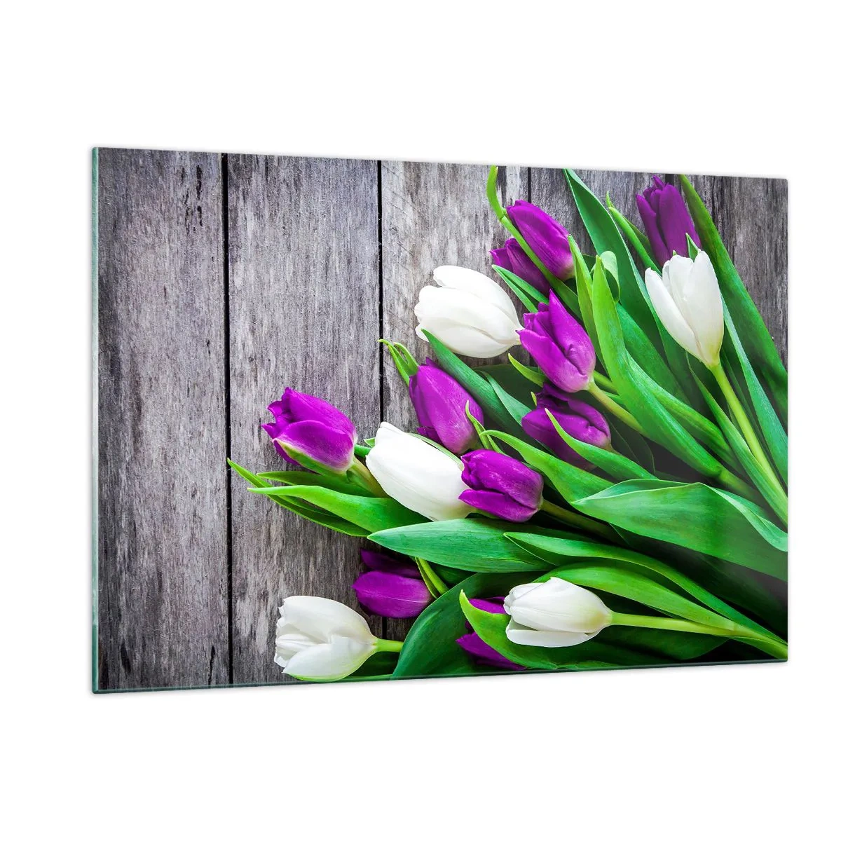 Impression sur verre - Image sur verre - Un bouquet de tulipes violettes et blanches sur un fond en bois - 120x80cm - Le jour des vacances de printemps - Décoration murale moderne pour le salon et la chambre ARTTOR