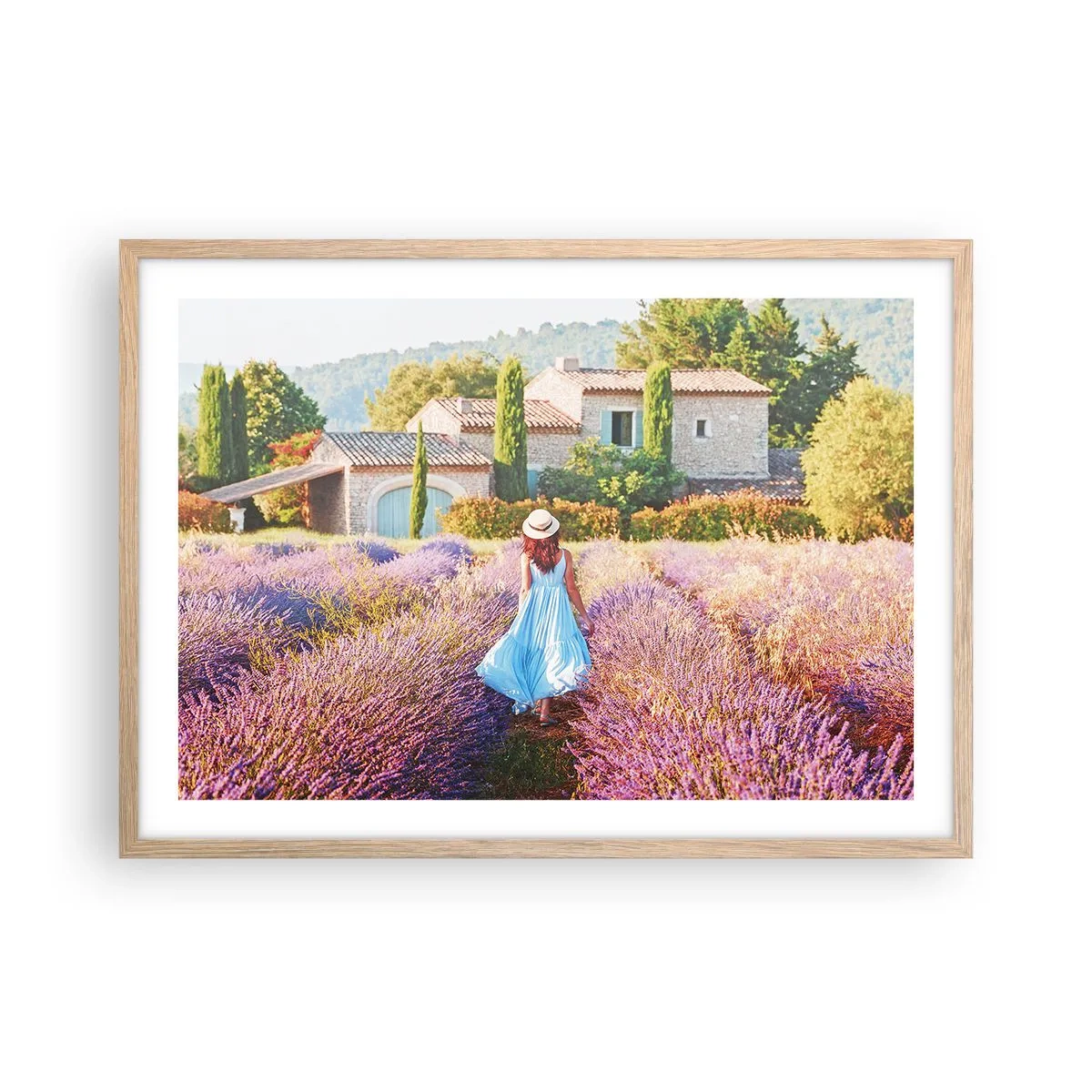Affiche dans un chêne clair - Poster - Fille de la lavande - 70x50 cm