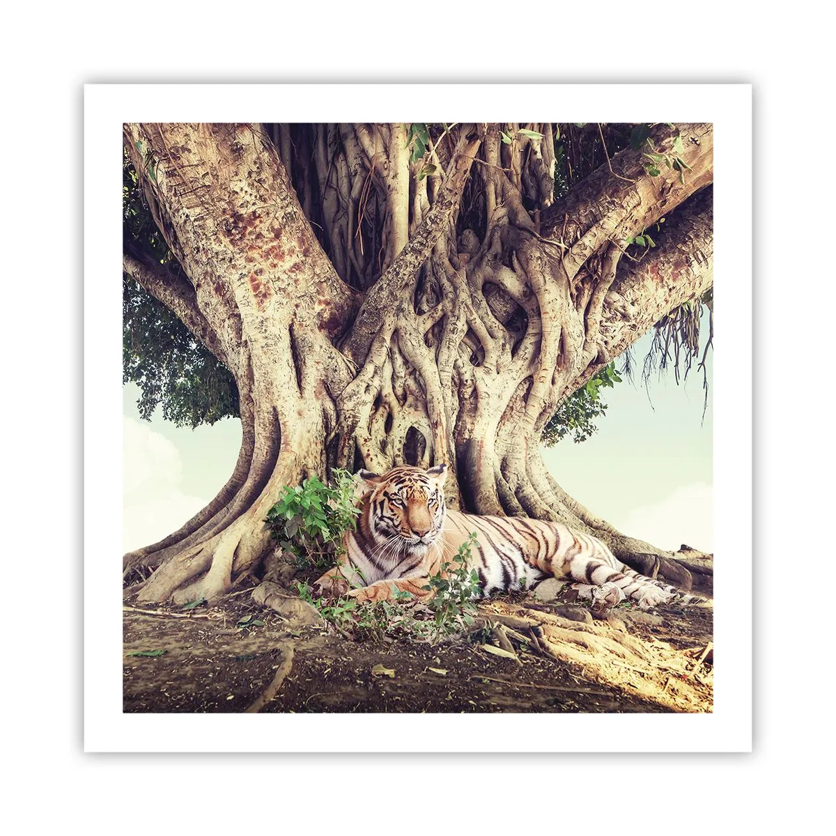 Affiche - Poster - Vue du Livre de la Genèse - 60x60 cm