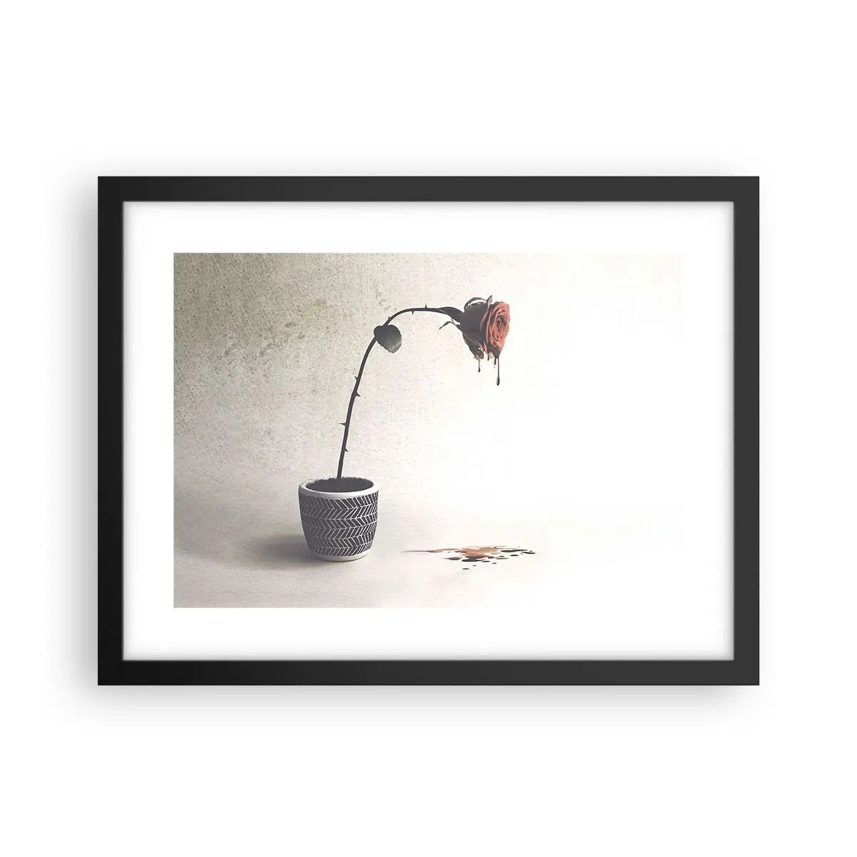 Affiche dans un cadre noir - Poster - Rosa dolorosa - 40x30 cm