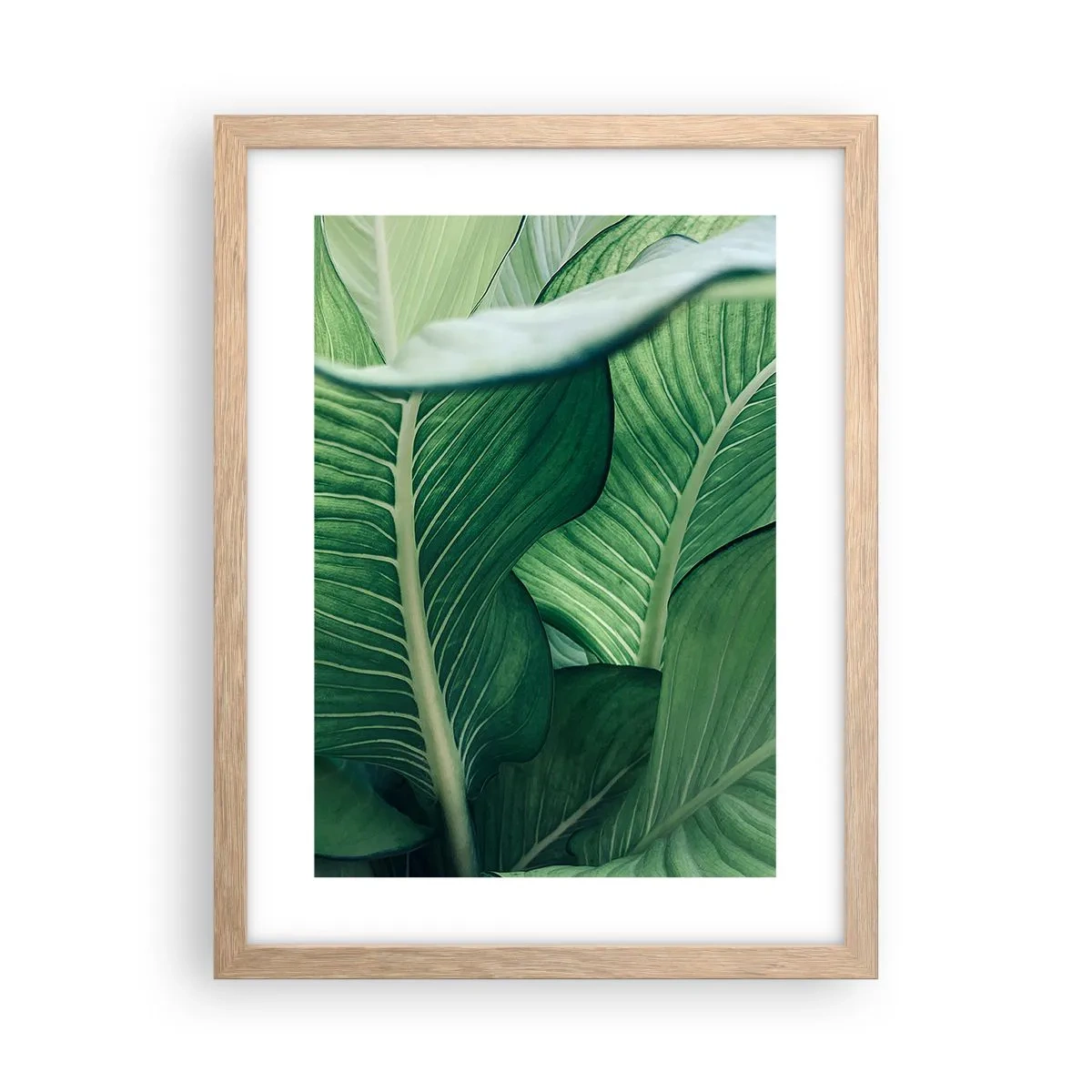 Affiche dans un chêne clair - Poster - Une vie intensément verte - 30x40 cm