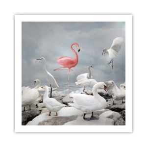 Affiche - Poster - Comment suis-je arrivé là? - 60x60 cm