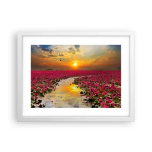 Affiche dans un cadre blanc - Poster - La vie secrète du lac - 40x30 cm