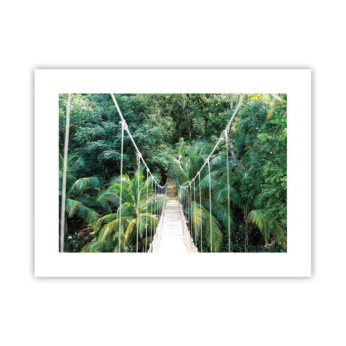 Affiche - Poster - Welcome to the jungle! - 40x30 cm