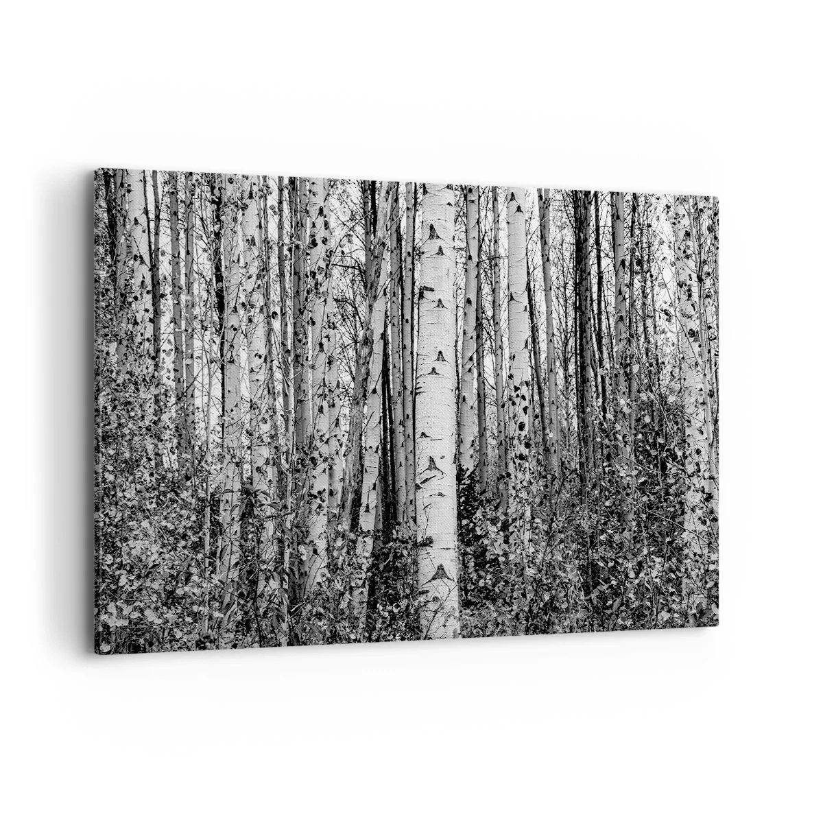 Impression sur toile - Image sur toile - Bouleaux noirs et blancs dans la forêt - 120x80cm - Enchevêtrement de bouleau - Décoration murale moderne pour le salon et la chambre ARTTOR