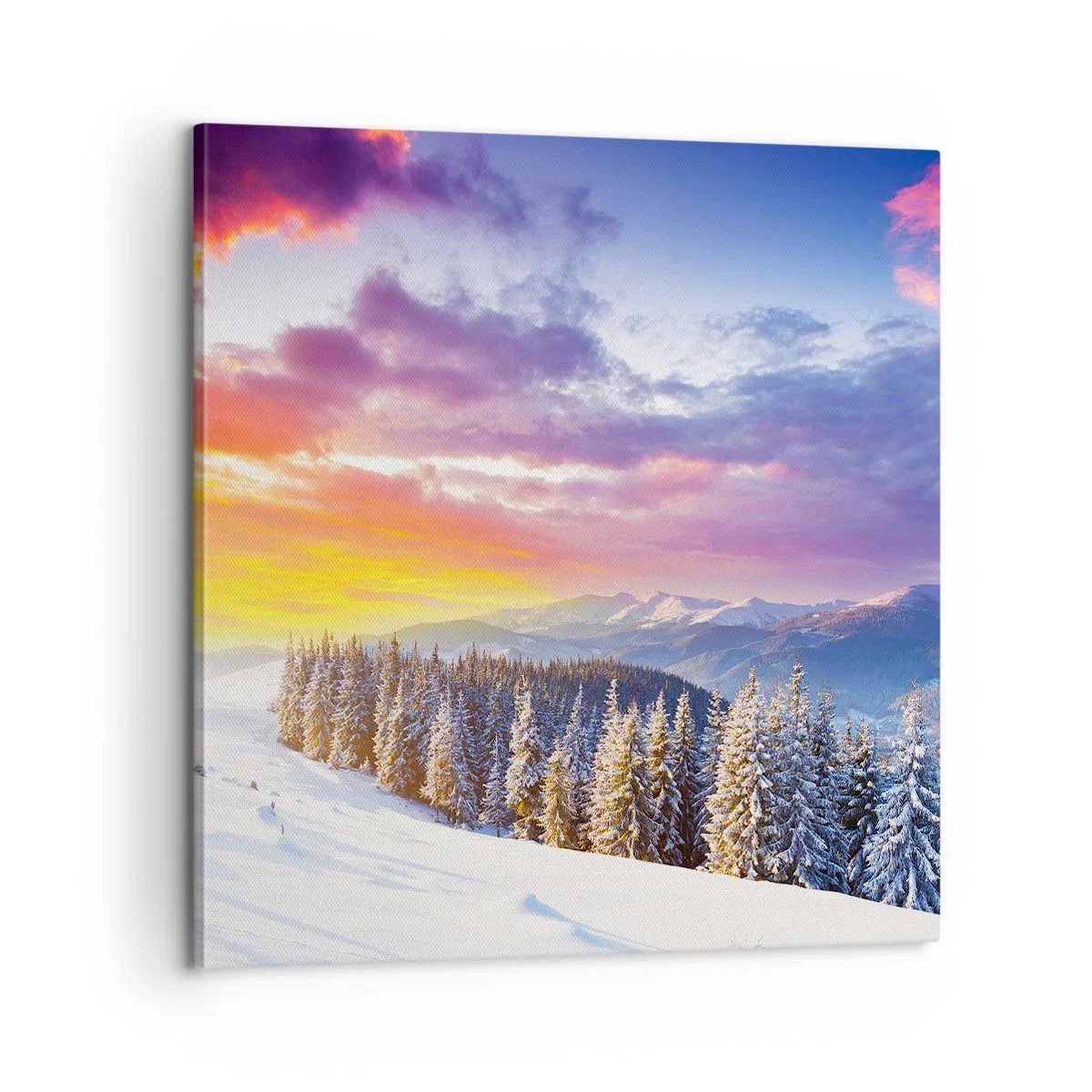 Impression sur toile - Image sur toile - En pleine journée - 60x60 cm