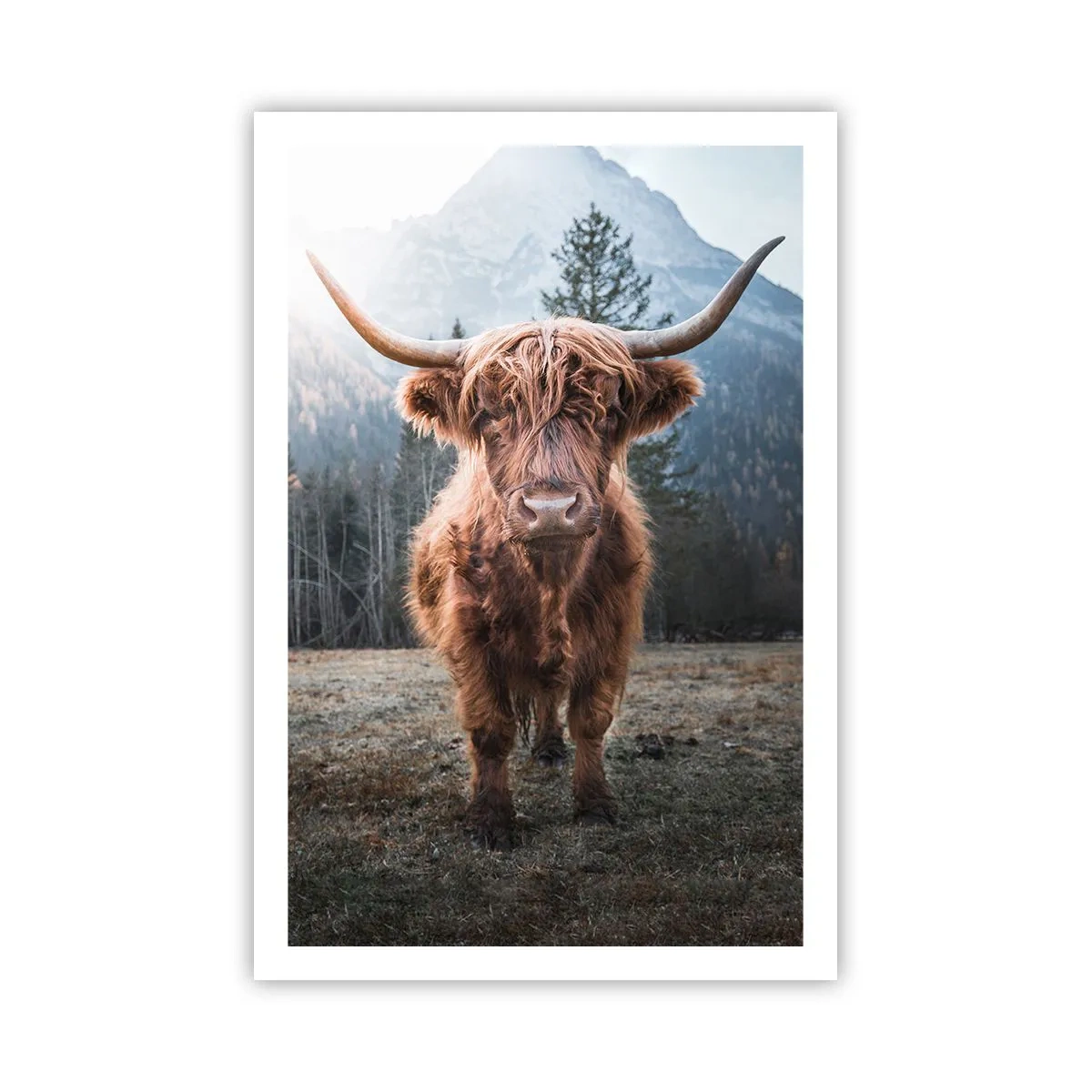 Affiche - Poster - Salutations des prairies de montagne - 61x91 cm