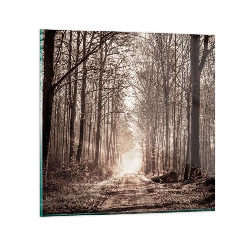 Impression sur verre - Image sur verre - Cathédrale de la forêt - 30x30 cm