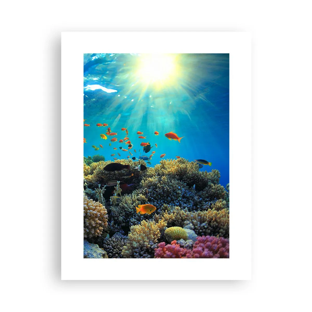 Affiche - Poster - Trésor sous-marin - 30x40 cm