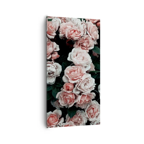 Impression sur toile - Image sur toile - Ensemble de rose - 65x120 cm