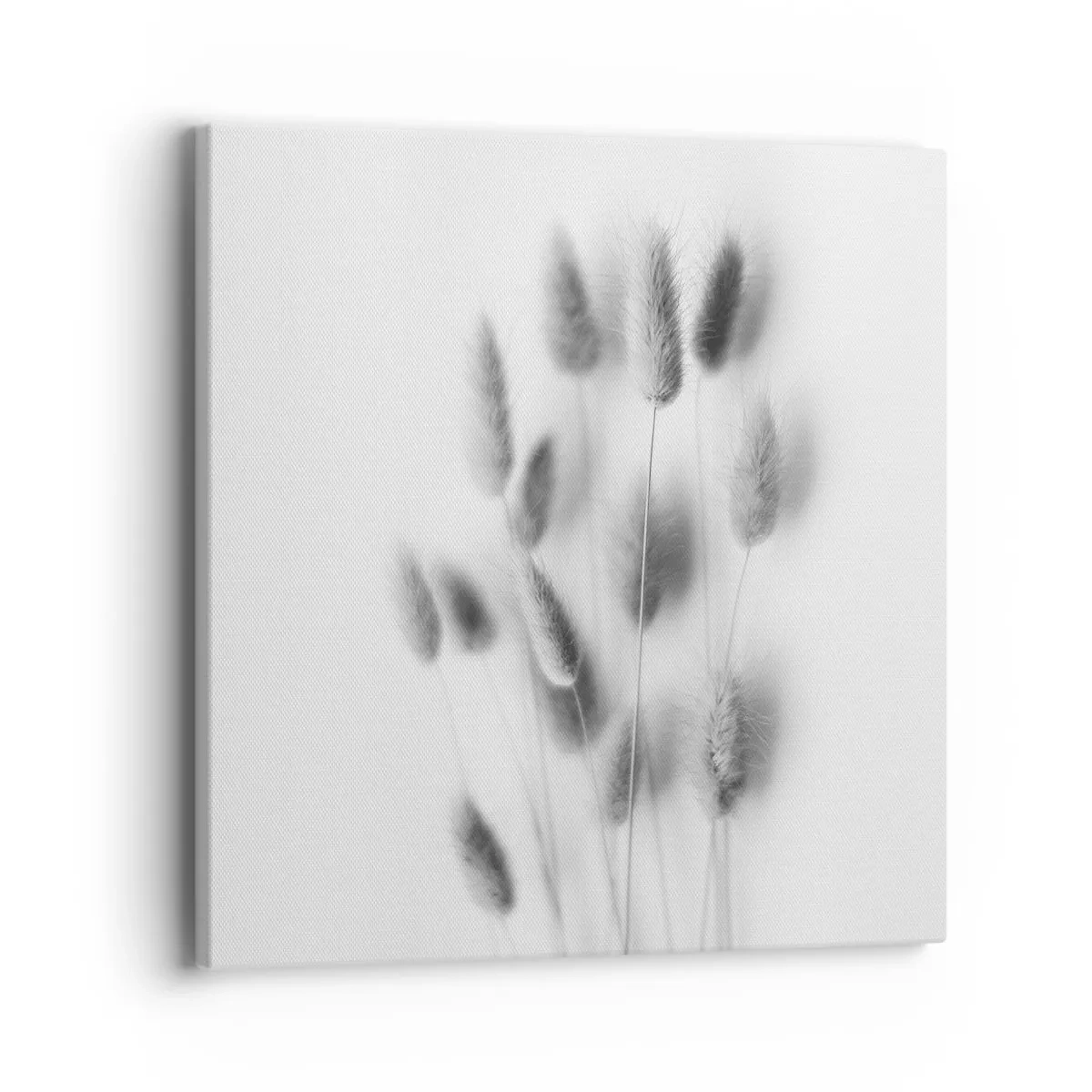 Impression sur toile - Image sur toile - Son herbe duveteuse - 40x40 cm