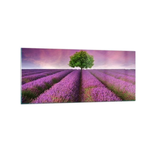 Impression sur verre - Image sur verre - Un champ de lavande avec un arbre solitaire et un ciel violet - 120x50cm - Dans un champs de lavande - Décoration murale moderne pour le salon et la chambre ARTTOR