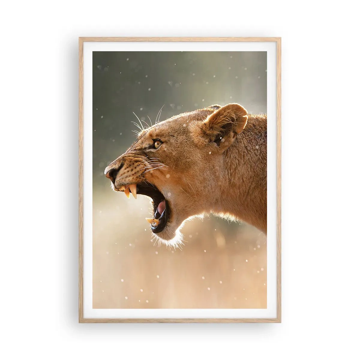 Affiche dans un chêne clair - Poster - Essayez  de ne pas écouter - 70x100 cm