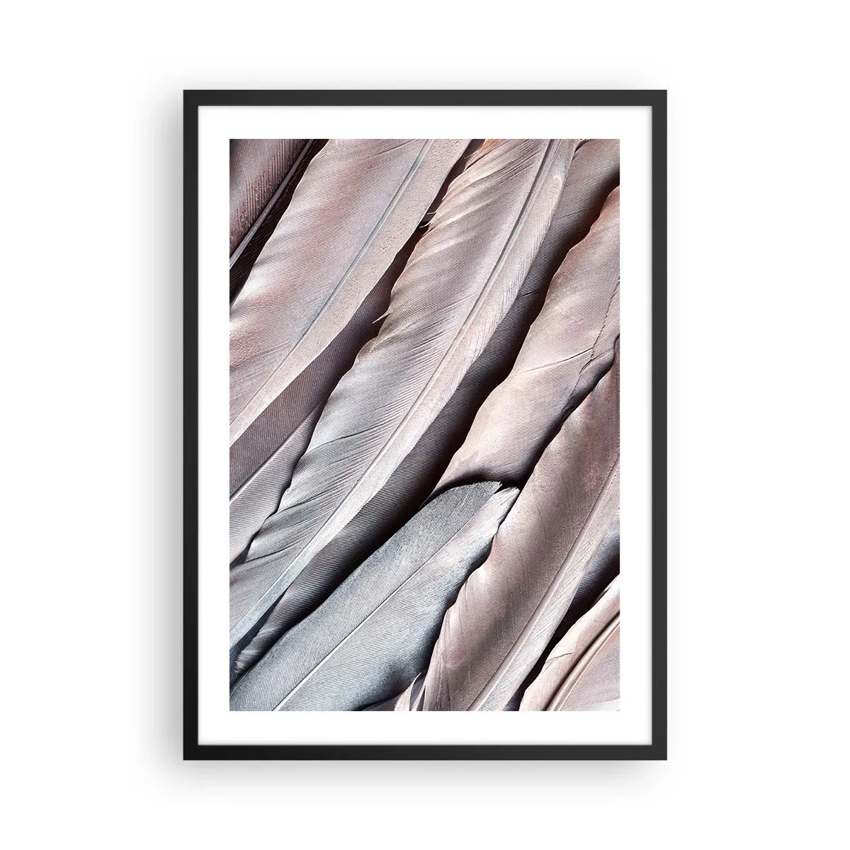 Affiche dans un cadre noir - Poster - Gros plan de plumes délicates et pastel - 50x70cm - En argent rose - Décoration murale moderne pour le salon et la chambre ARTTOR